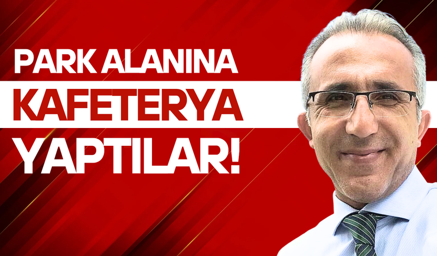 Olmaz demeyin; Denize restorant, park alanına kafeterya yaptılar...