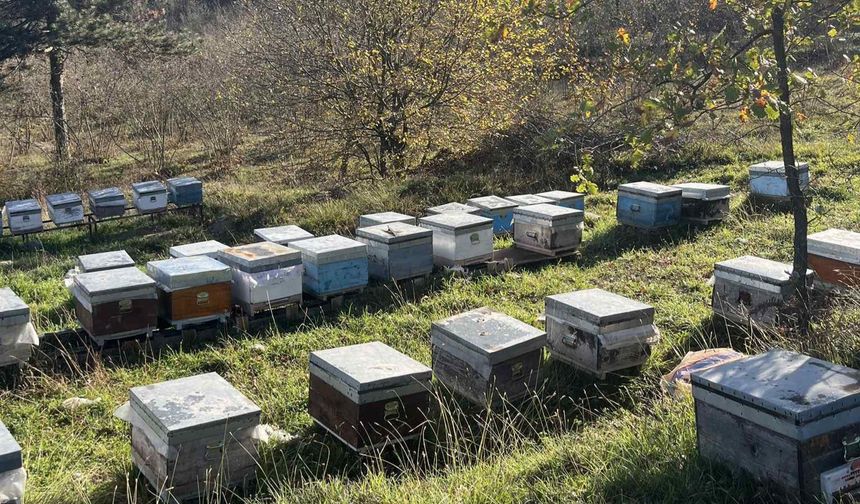 Ereğli’deki arıcılık işletmeleri mercek altında