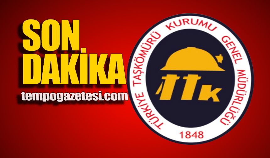 Üretim durdu: Armutçuk davası 27 Mart'a ertelendi