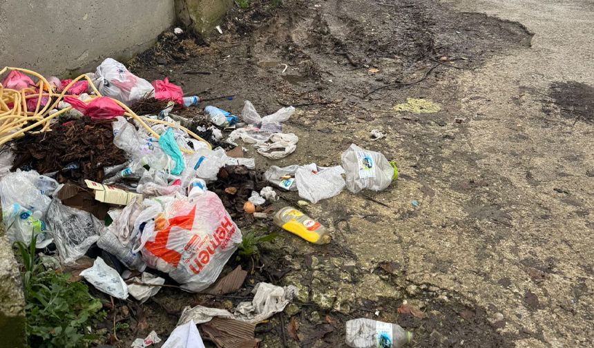 Zonguldak'ta çöp sorunu çileden çıkardı