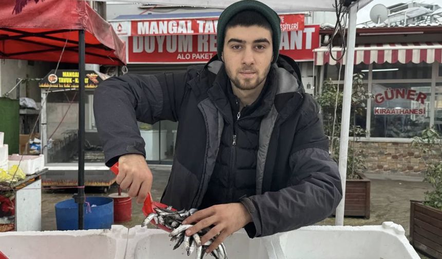 Hamsiye bir hafta ömür biçildi