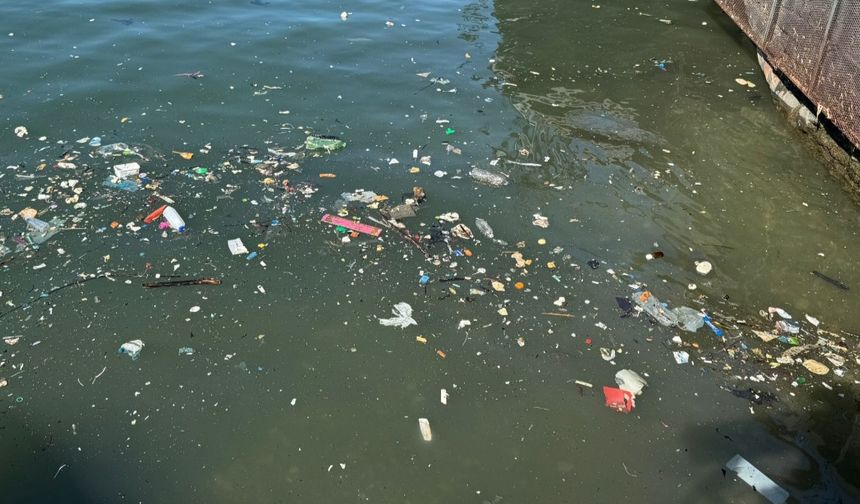 Plastik atıklar sahile vurdu