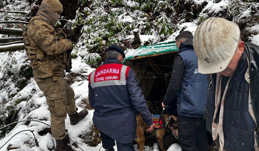 Zonguldak’ta 10 kaçak maden ocağı imha edildi
