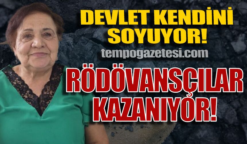 Devleti kimse soymuyor, Devlet kendini soyuyor: Rödövansçılar kazanıyor!