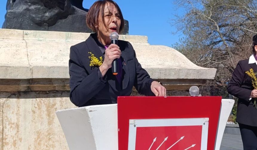 CHP Kadın Kolları’ndan 8 Mart Mesajı: 'Çare eşitliktedir...'