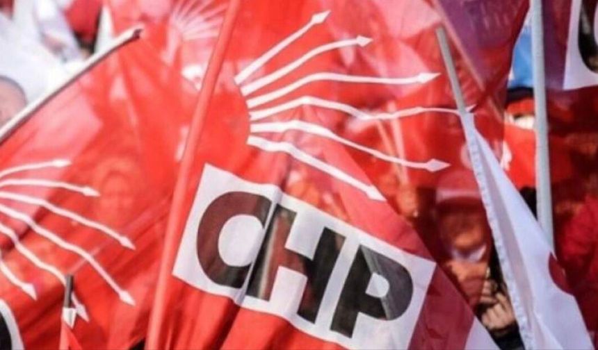 CHP, TIP Bayramı'nı kutladı