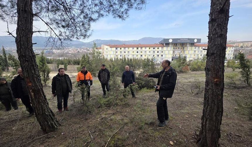 Zonguldak Orman Bölge Müdürlüğü’nden 'Güvenlik Kuşağı' operasyonu