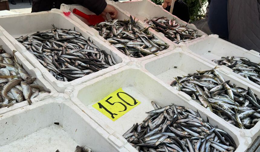 Zonguldak’ta balık fiyatları cep yakıyor: Mezgit 350 liraya dayandı