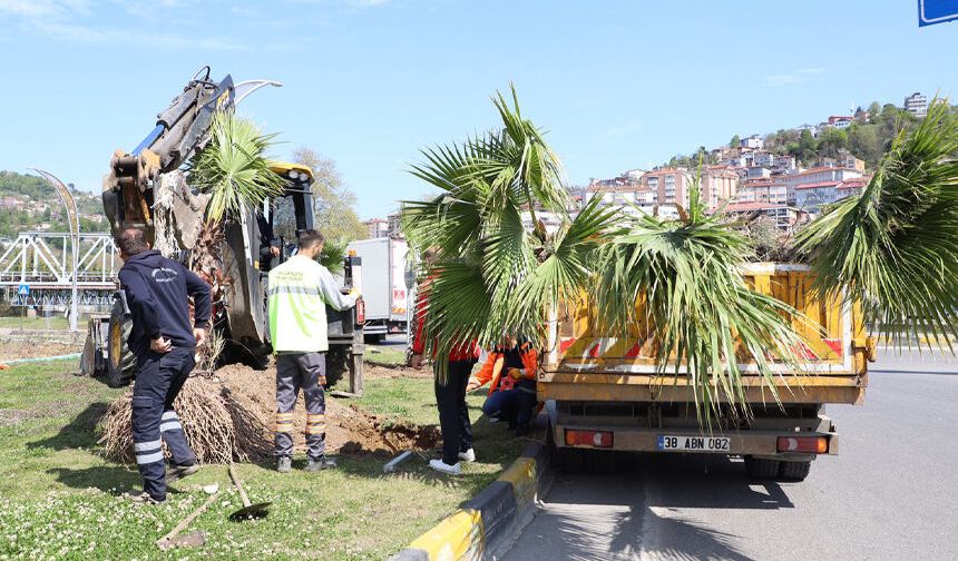 Zonguldak Belediyesi Ayyıldız Kavşağı’nda Peyzaj Çalışmalarını Sürdürüyor
