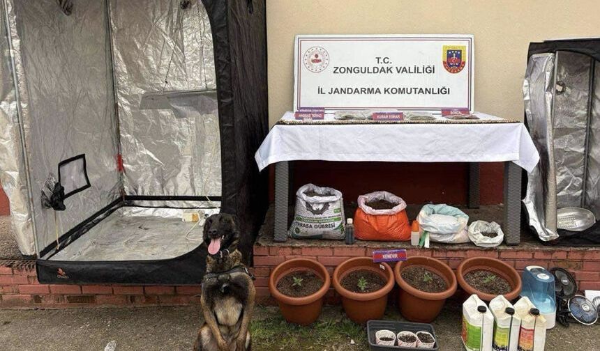 Evleri uyuşturucu serasına çevirmişler