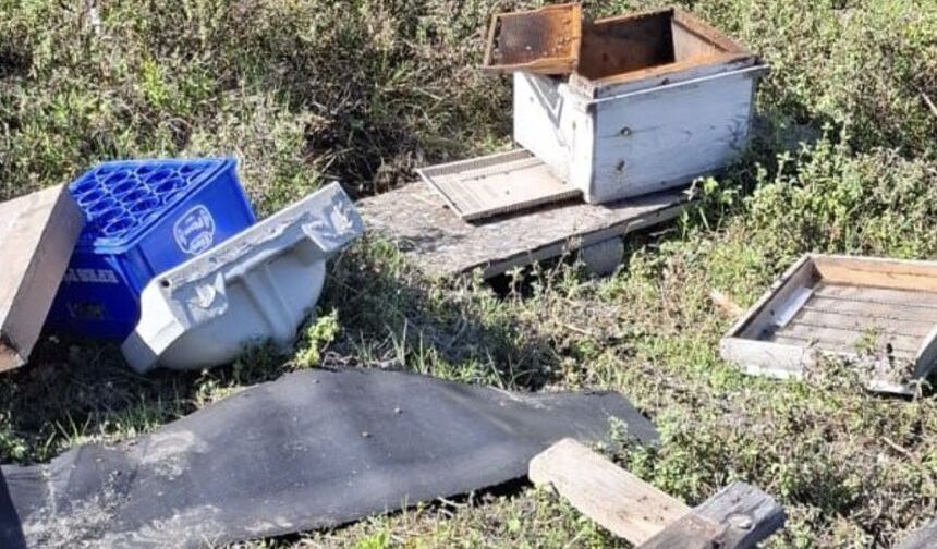 Zonguldak’ta Ayı Dehşeti: “Kovanları Çilingir Sofrasına Çevirdiler”