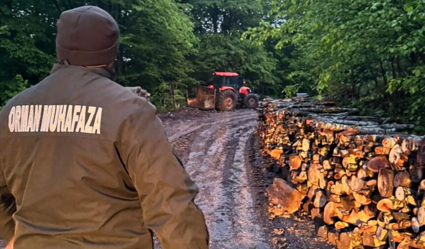 Zonguldak'ta ormanlara 7/24 sıkı denetim