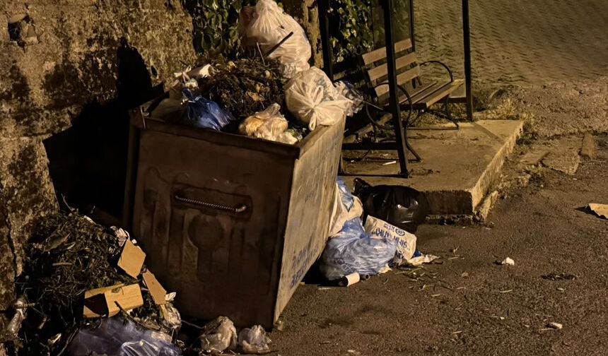 Karaelmas isyanda: Yolları geçtik, en büyük sorunumuz çöp