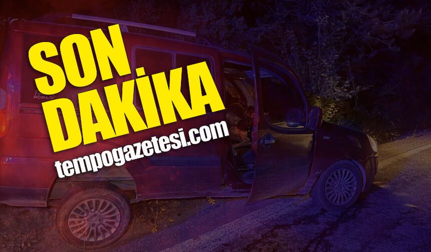 Uyuşturucu etkisindeki sürücü kaldırıma çıktı