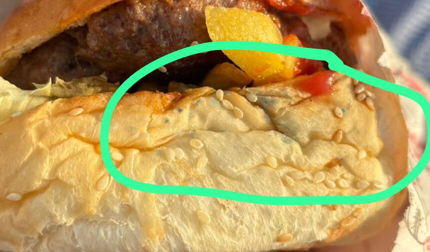 Belediye küflü hamburger satarsa, belediyeyi kim denetleyecek?