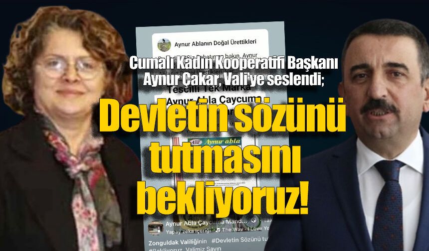 Aynur Çakar, Vali'ye seslendi: 300 bin kişilik proje için sözün tutulmasını bekliyor