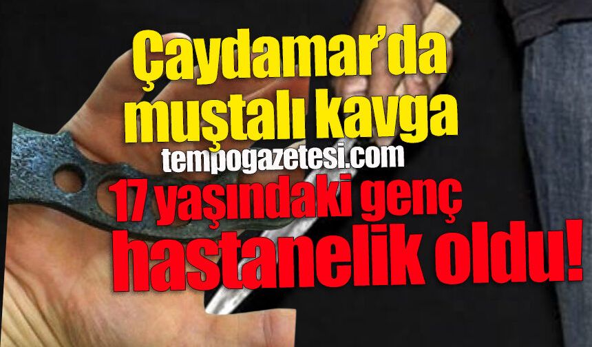 Çaydamar’da muştalı sadırı: 17 yaşındaki genç hastanelik oldu