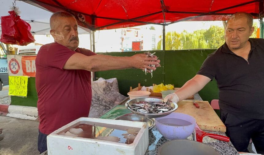 Tezgahlar palamutla şenlendi: 100 liradan satılıyor
