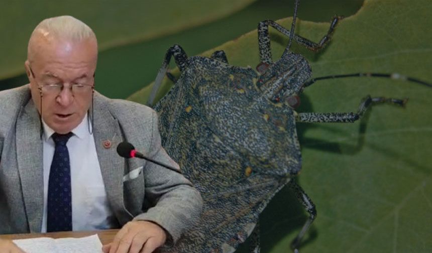 Meclis Üyesinden kıtlık uyarısı: “Kahverengi kokarca tarımda beka sorunudur!”