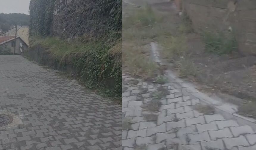 Ambarlı sokak sakinlerinden temizlik çağrısı