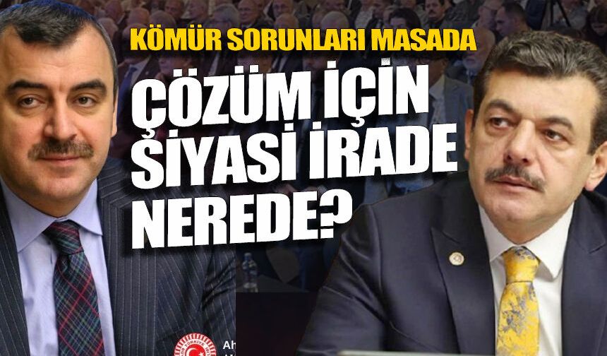 Kömürün sorunları masada, peki çözüm için siyasi irade nerede?