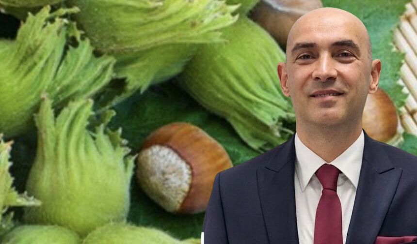 Fındık üreticisi göz göre göre zarara mahküm ediliyor