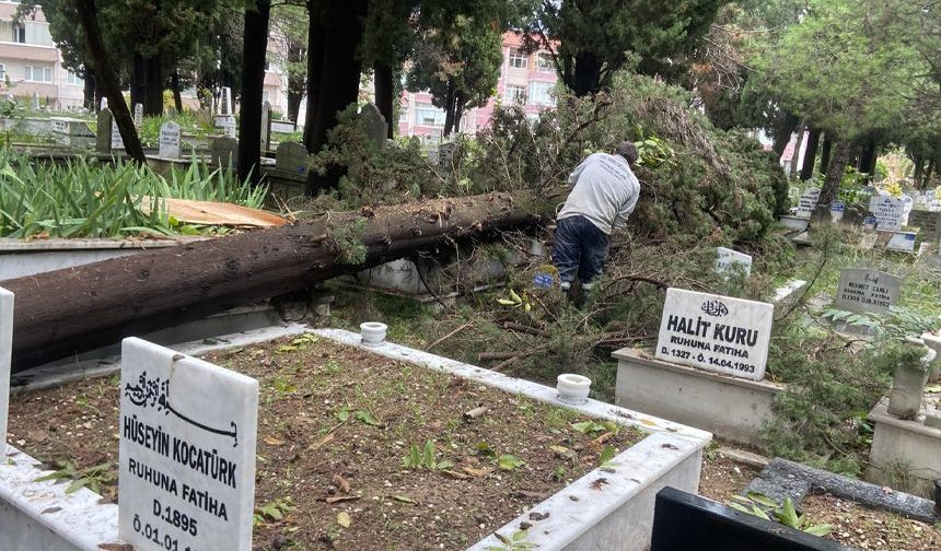 Şehir mezarlığında fırtınanın izleri silindi
