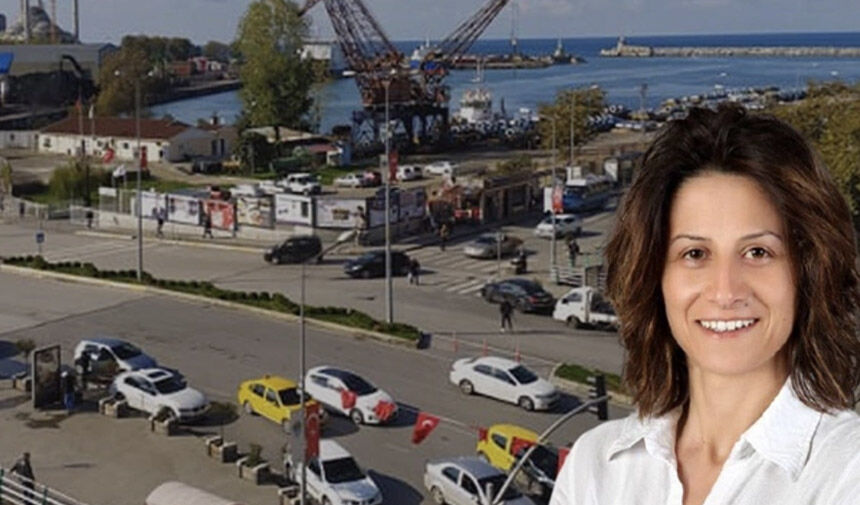 Devrek ve Gökçebey’de neler oluyor?/ Ercan Koçal gelecek, sorunlar bitecek!