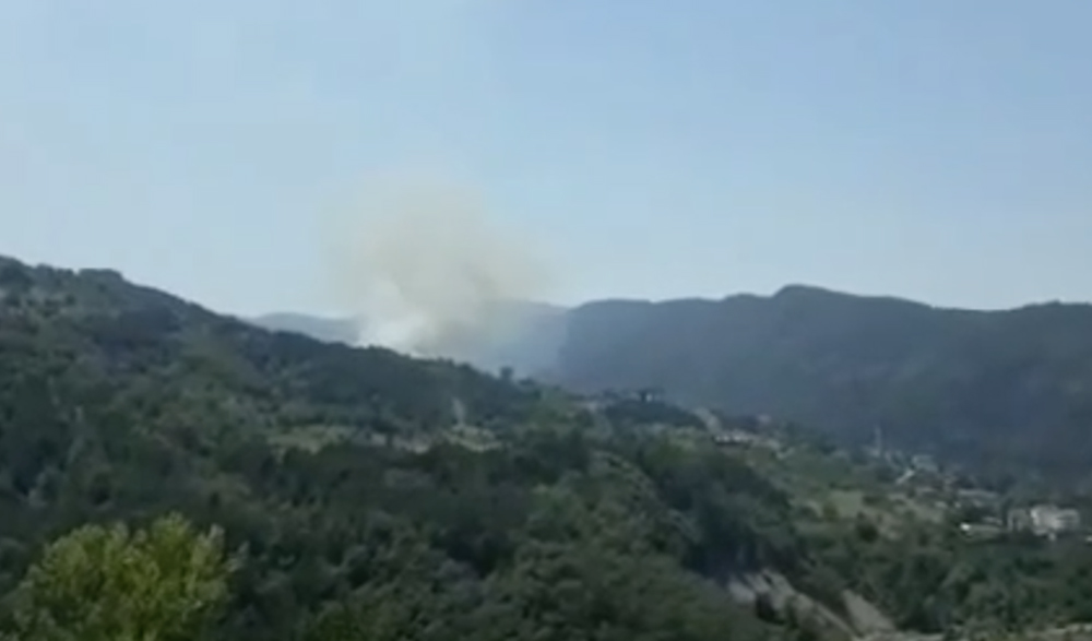 Eğerci Yanınının