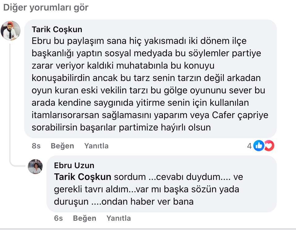 Ebru 1