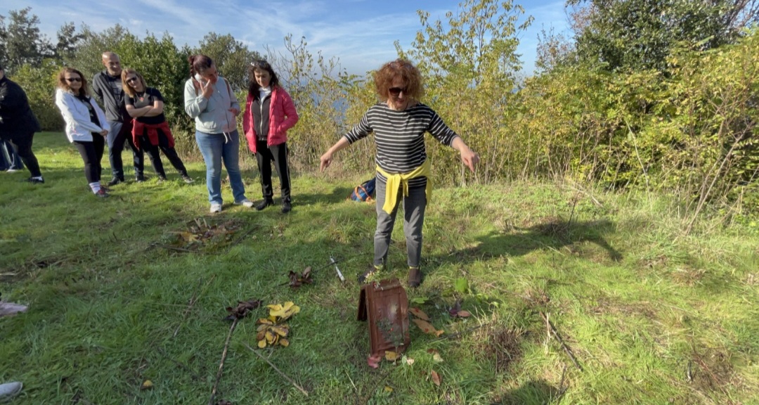 Screenshot 20251103 144837 Whats App