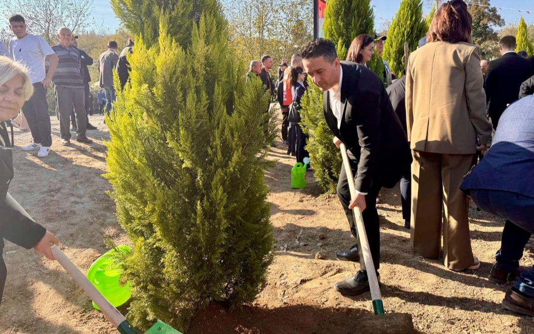 Screenshot 20251111 125731 Whats App