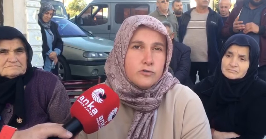 Screenshot 20251119 112930 Facebook