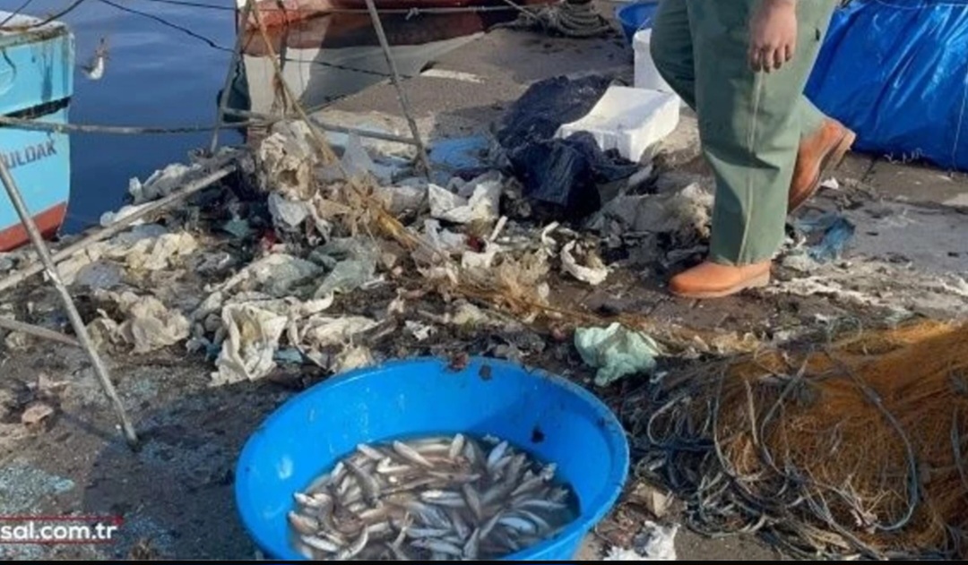 Screenshot 20260220 170146 Google