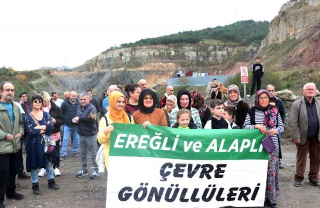 Screenshot 20260225 121726 Google